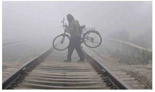 షివర్ నార్త్ – టి న్యూస్ తెలుగు