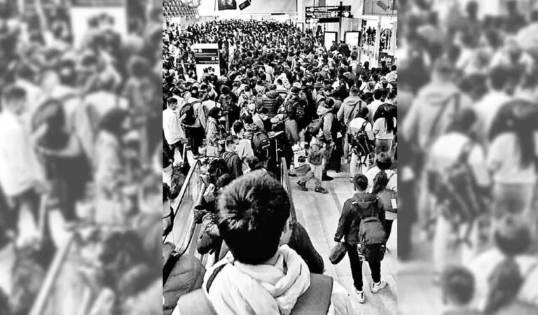 Opinion: New rabbit hole – Telangana Today