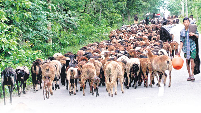 రెండవ విడుదల కోసం సిద్ధం చేయండి