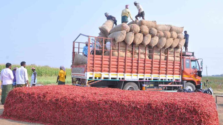 రైతన్న మమకారం-నమస్తే తెలంగాణ