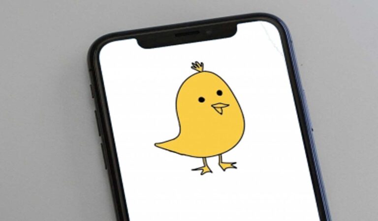 Twitter rival Koo to cut 30% of staff this year amid global slowdown