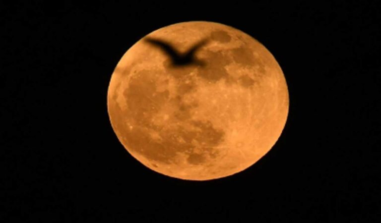Why Suicide Deaths Spike During Full Moon Weeks
