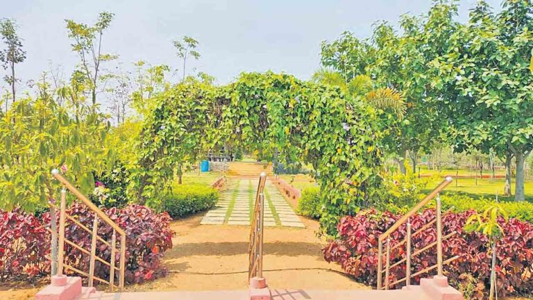 రాశివనం మార్చెను జీవితం-నమస్తే తెలంగాణ