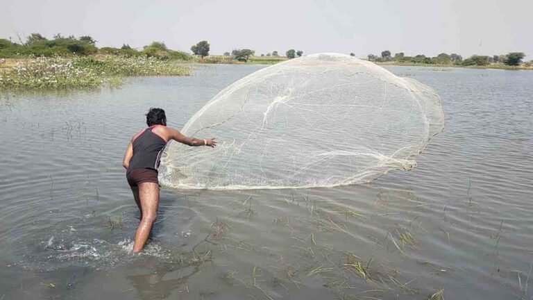 మత్స్యకారులు మాత్రమే ముందస్తు జాగ్రత్తలు పాటిస్తారు