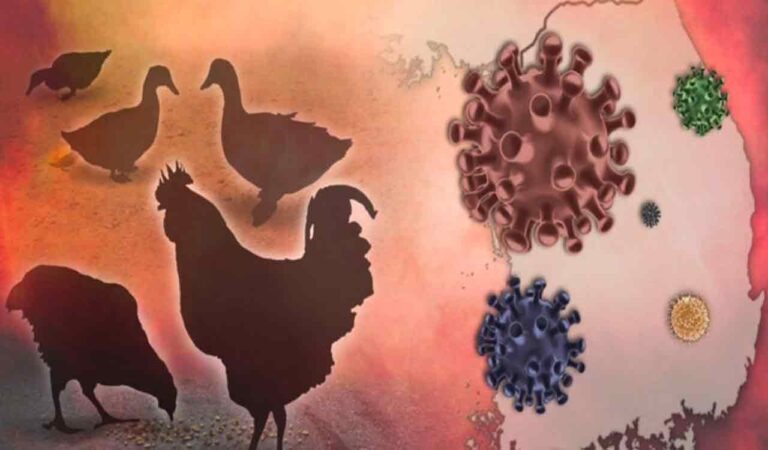 Health and tech: Experts warn of bird flu virus