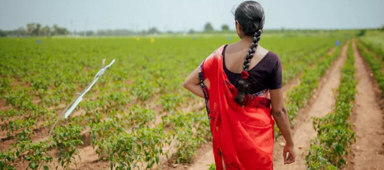 Agritech success in Telangana: A model for agricultural transformation, says WEF report