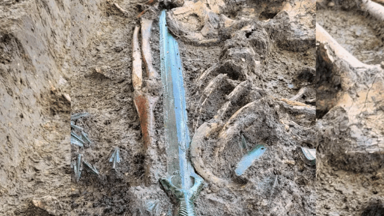 తవ్వకాల్లో 3000 ఏళ్ల నాటి కత్తి..! -నమస్తే తెలంగాణ