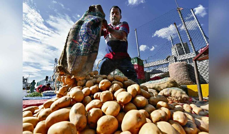 Telangana govt plans to increase potato production