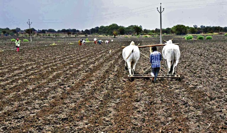 Telangana govt draws up contingency plan for lack of rainfall