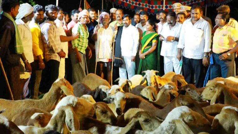 TS మంత్రి జగదీష్ రెడ్డి | గొర్రెల పంపిణీ పథకం ద్వారా యాదవ్కు ఆర్థిక సహాయం. మంత్రి జగదీశ్ రెడ్డి-నమస్తే తెలంగాణ