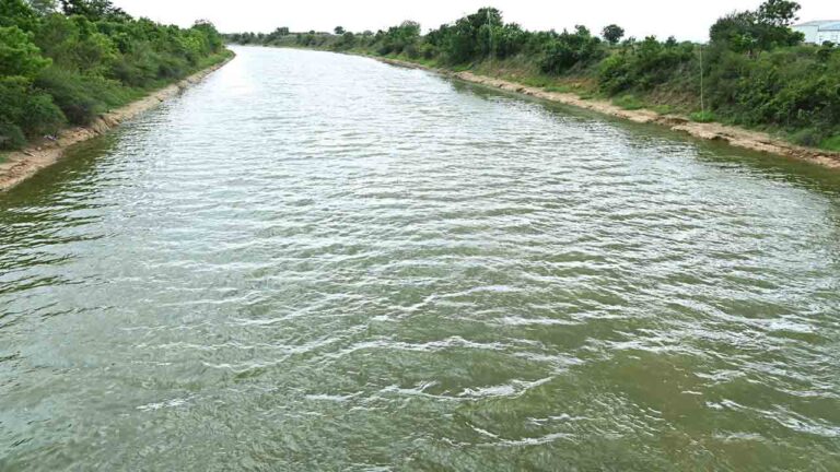 కాళేశ్వరం రువ్వడి.. చెరువులో సవ్వడి – నమస్తే తెలంగాణ