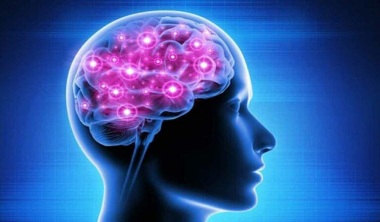 Study shows stress affects brain, psyche via immune system-Telangana Today