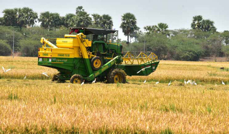 Crop cultivation drops by 5.04 lakh acres in Telangana-Telangana Today