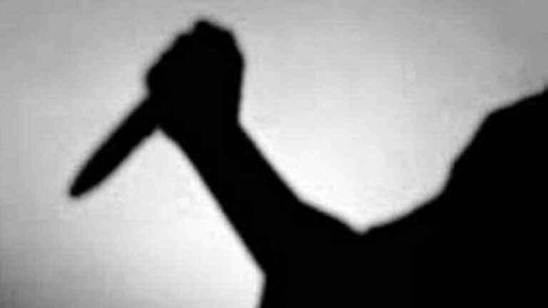 చౌదరిగూడలో దారుణం.. అత్తపై కత్తితో దాడి చేసిన కోడలు-Namasthe Telangana