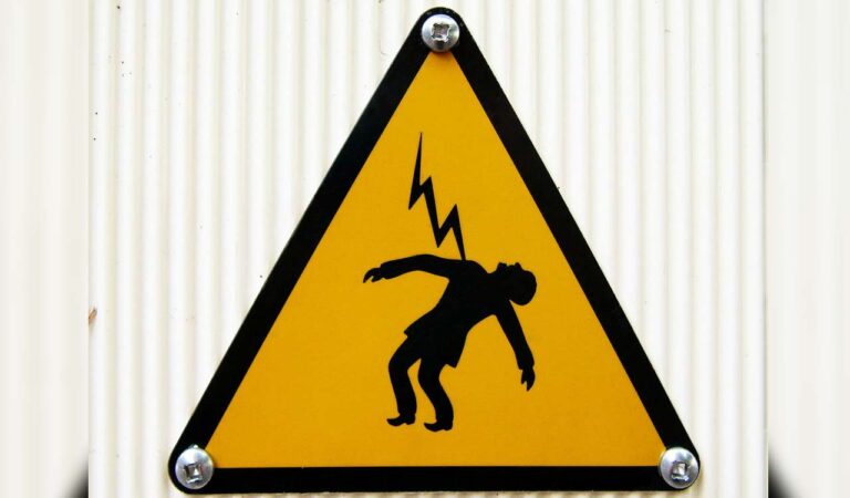 Shepherd dies of electrocution in Bhupalpally-Telangana Today