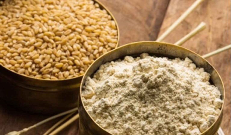 Bundelkhand wheat variety gets GI tag, first for a farm produce-Telangana Today